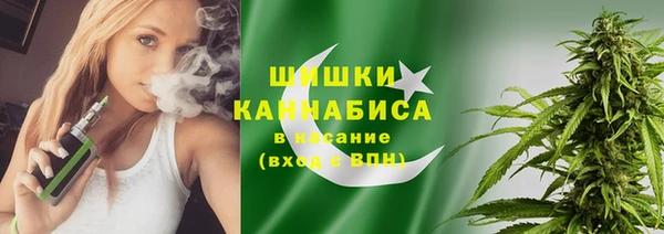 индика Вязьма
