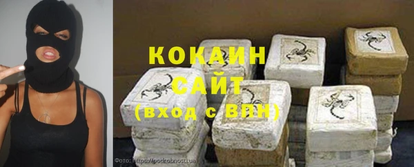 индика Вязьма