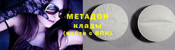 индика Вязьма