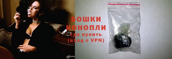 индика Вязьма