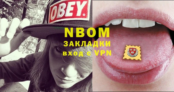 индика Вязьма