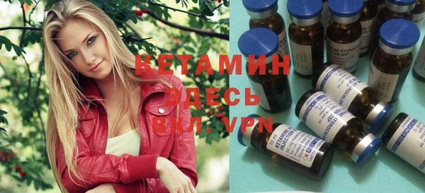индика Вязьма