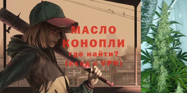 индика Вязьма