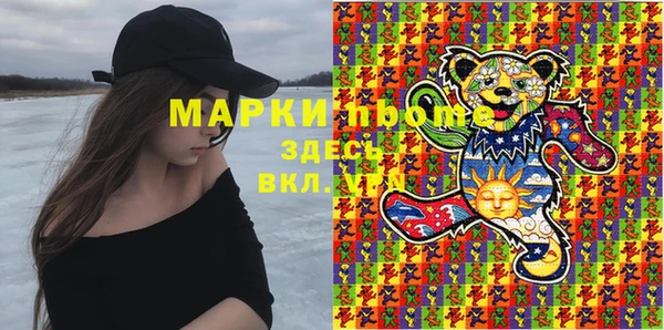 индика Вязьма