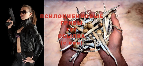 индика Вязьма