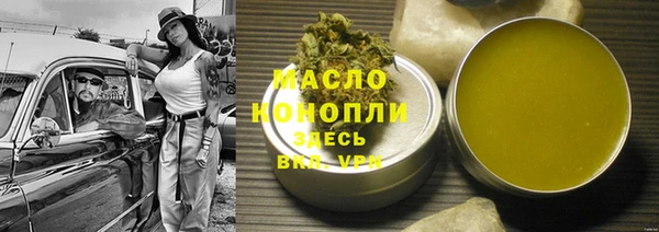 индика Вязьма